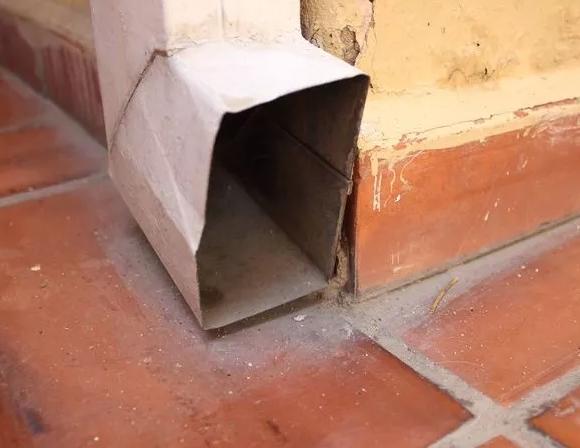 家里老鼠多灭老鼠最好的方法,老鼠怎样消灭