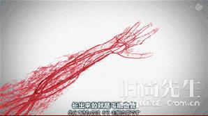 coolknot怎么样,coolknot绑鞋带教程