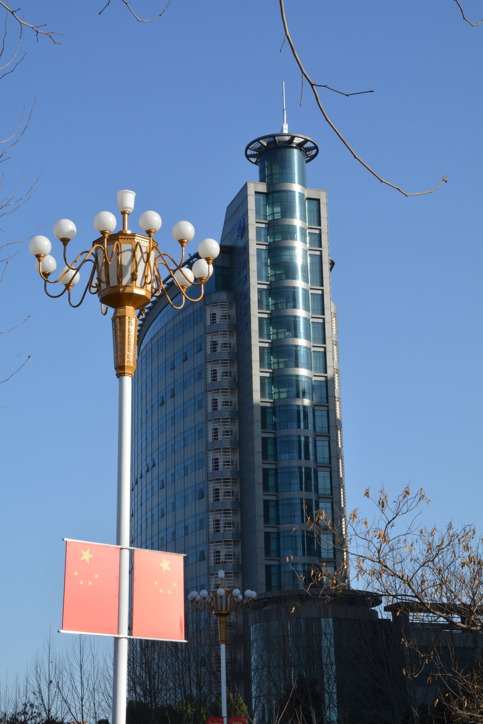 尼康D5200扫街,狗头基本够用