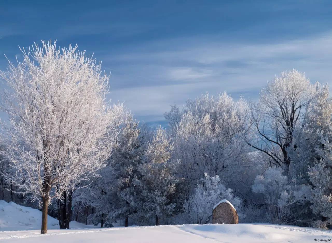 越野滑雪有什么优点,越野滑雪深度解析