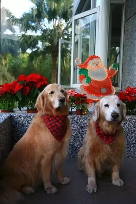 没有义无反顾的爱情,爱情是一场说走就走的旅行