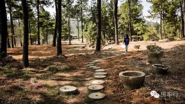 浙江露营营地 (浙江绍兴5月份哪里可看花露营)