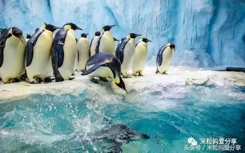 广州亲子游5天自由行不累,适合带宝宝去的亲子游