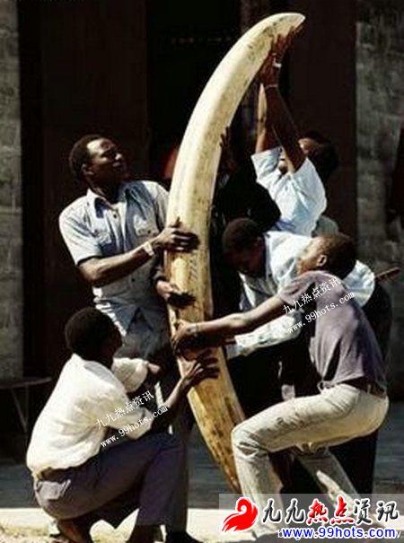 你还在买黄金吗,你还在买珠宝吗