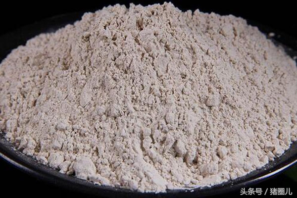 母猪的一些病,母猪的故事视频大全