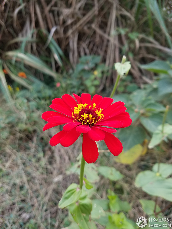 三星galaxys7edge,三星s7edge用了时间长了