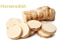 苹果的英文不是apple,苹果的英文发音是apple还是apple