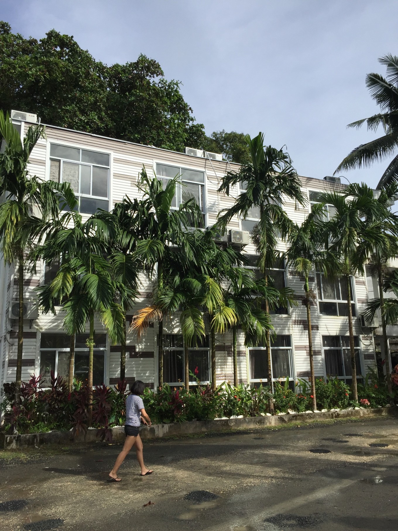 帕劳旅行攻略大全图文,帕劳旅行攻略图文大全