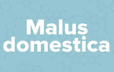 apple苹果的英语是什么,苹果的英语为什么是anapple