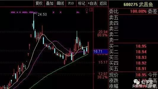 年终巨献千万让利百万豪礼,年终巨献纪录片