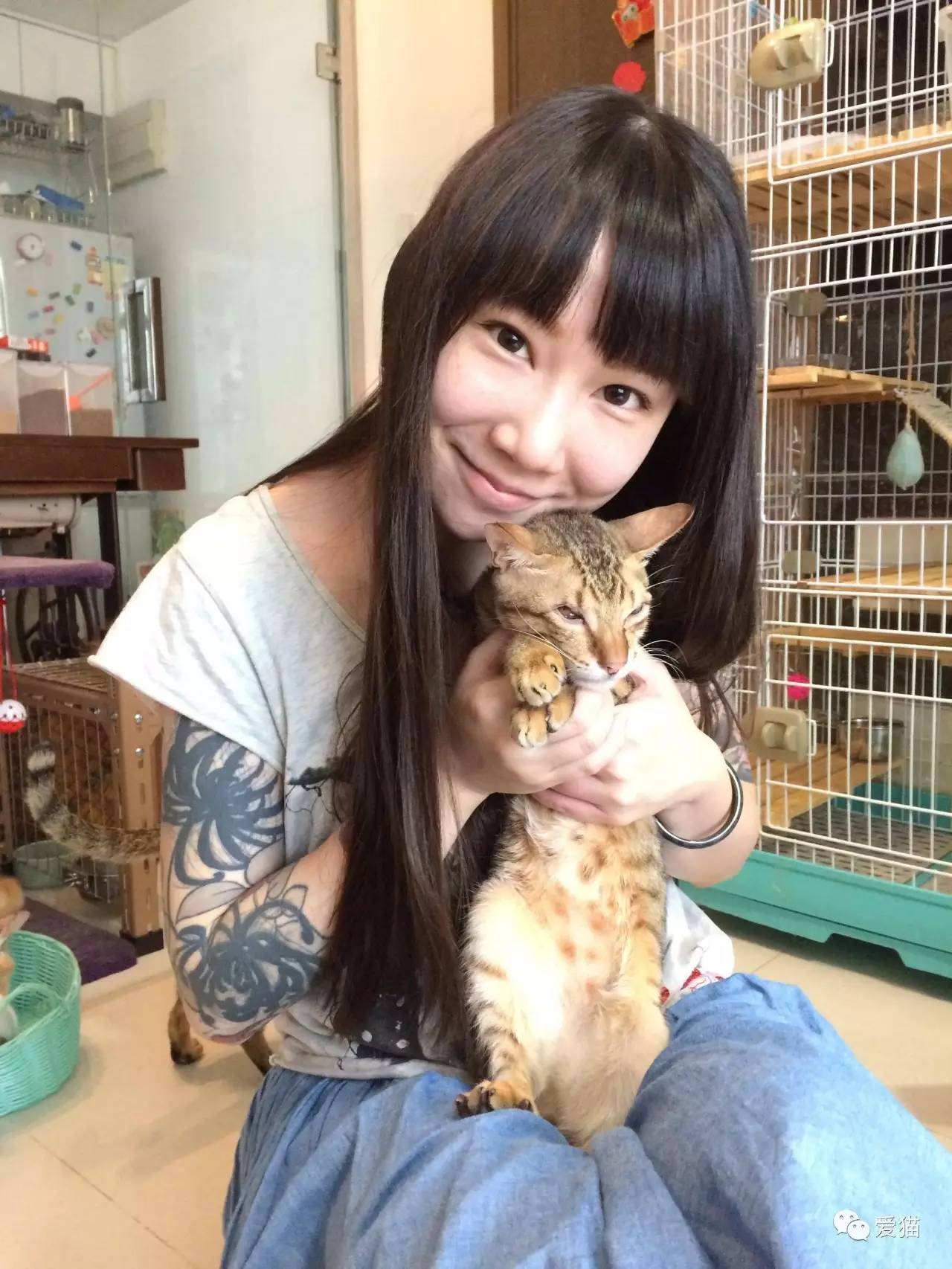 她纹身但她是个好女孩，照顾了20只没人愿意领养的残疾猫咪！