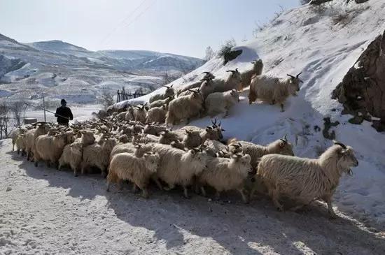 红土高原深处的神秘古村落,黄土高坡最原始的村落