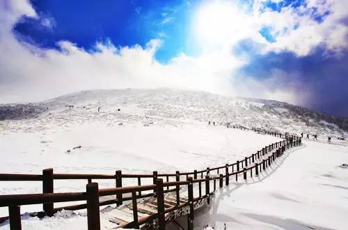 济州岛冬天泡温泉,冬天的济州岛好玩吗