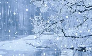 盼雪来的诗句,临屏诗词