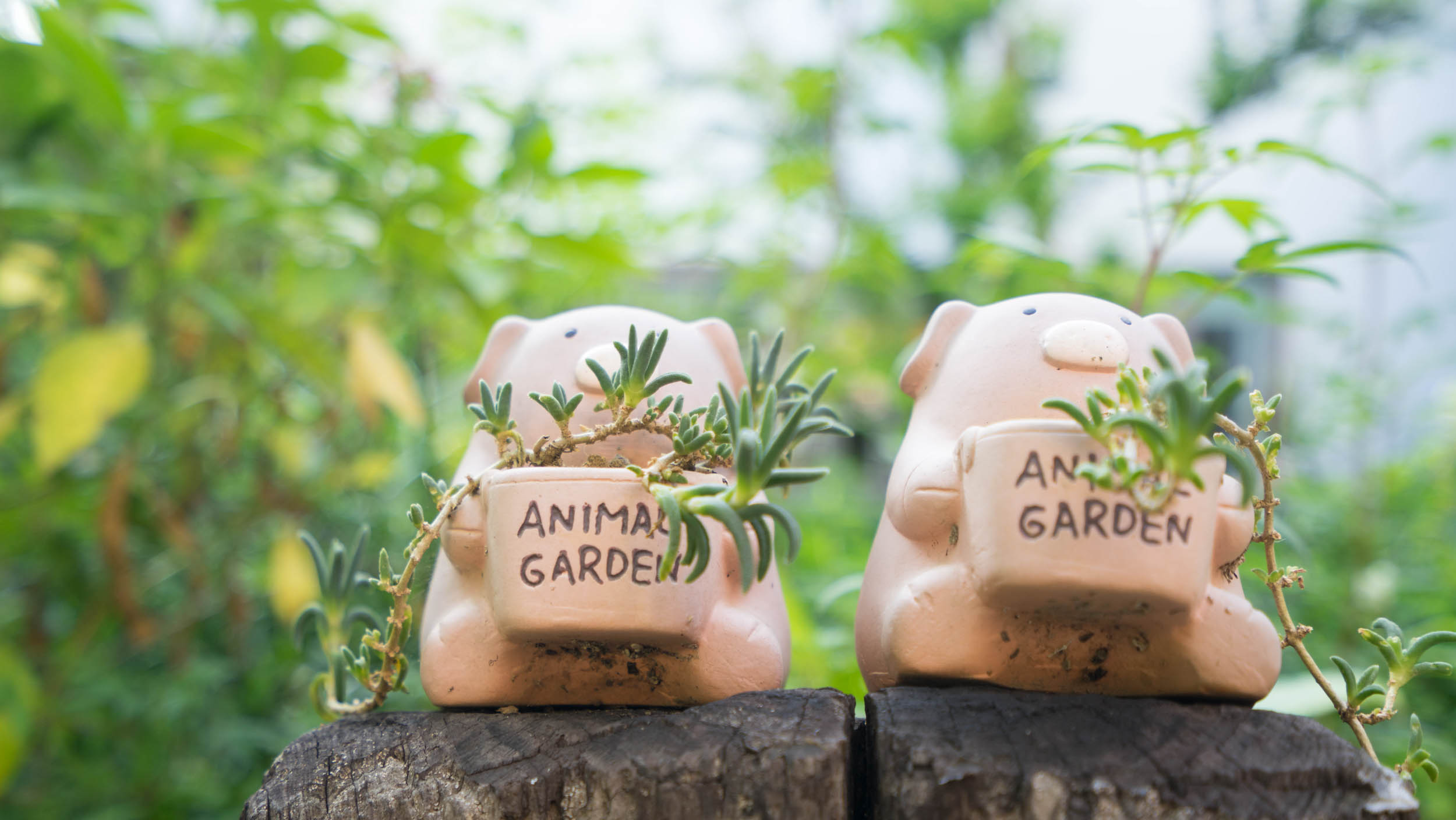 台湾味道纪录片,台湾味