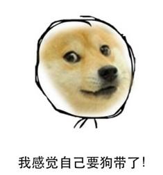 网络流行语大全总结,30句经典网络流行语