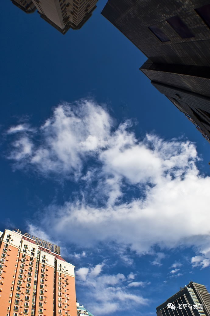 保利俱乐部事件,保利俱乐部真实故事