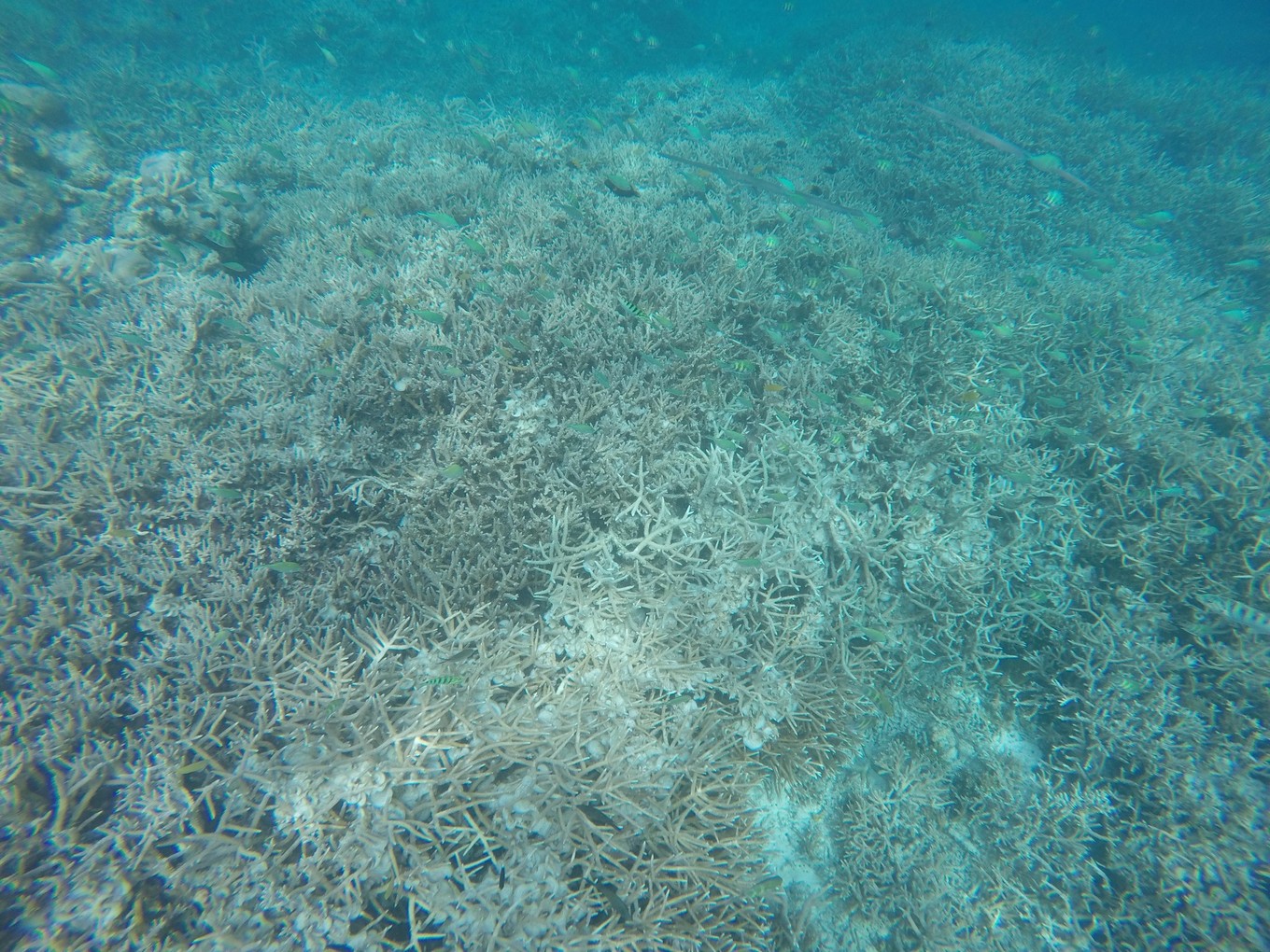 帕劳旅行攻略大全图文,帕劳旅行攻略图文大全