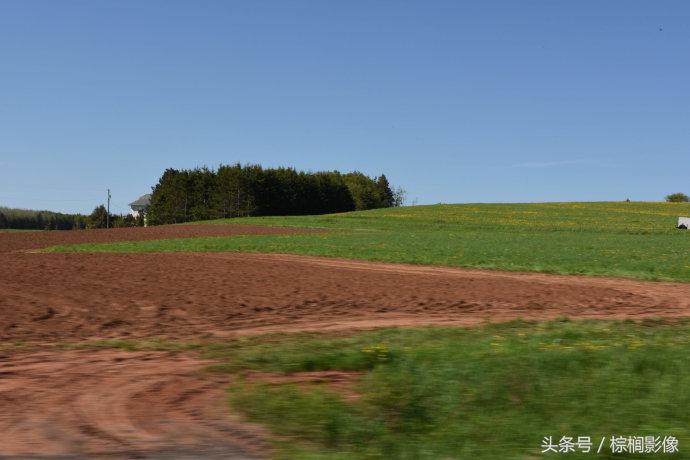 鐖卞痉鍗庣帇瀛愬矝鏈夋病鏈夊畨濡繖涓汉,鐖卞痉鍗庣帇瀛愬矝瀹夊Ξ灏忓眿鍦板潃