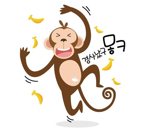 2017年运势排名,2017年属猴的全年运势