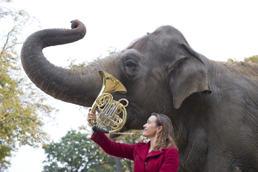 做核磁共振半道跑出来的多吗,做核磁共振途中为什么要推针水
