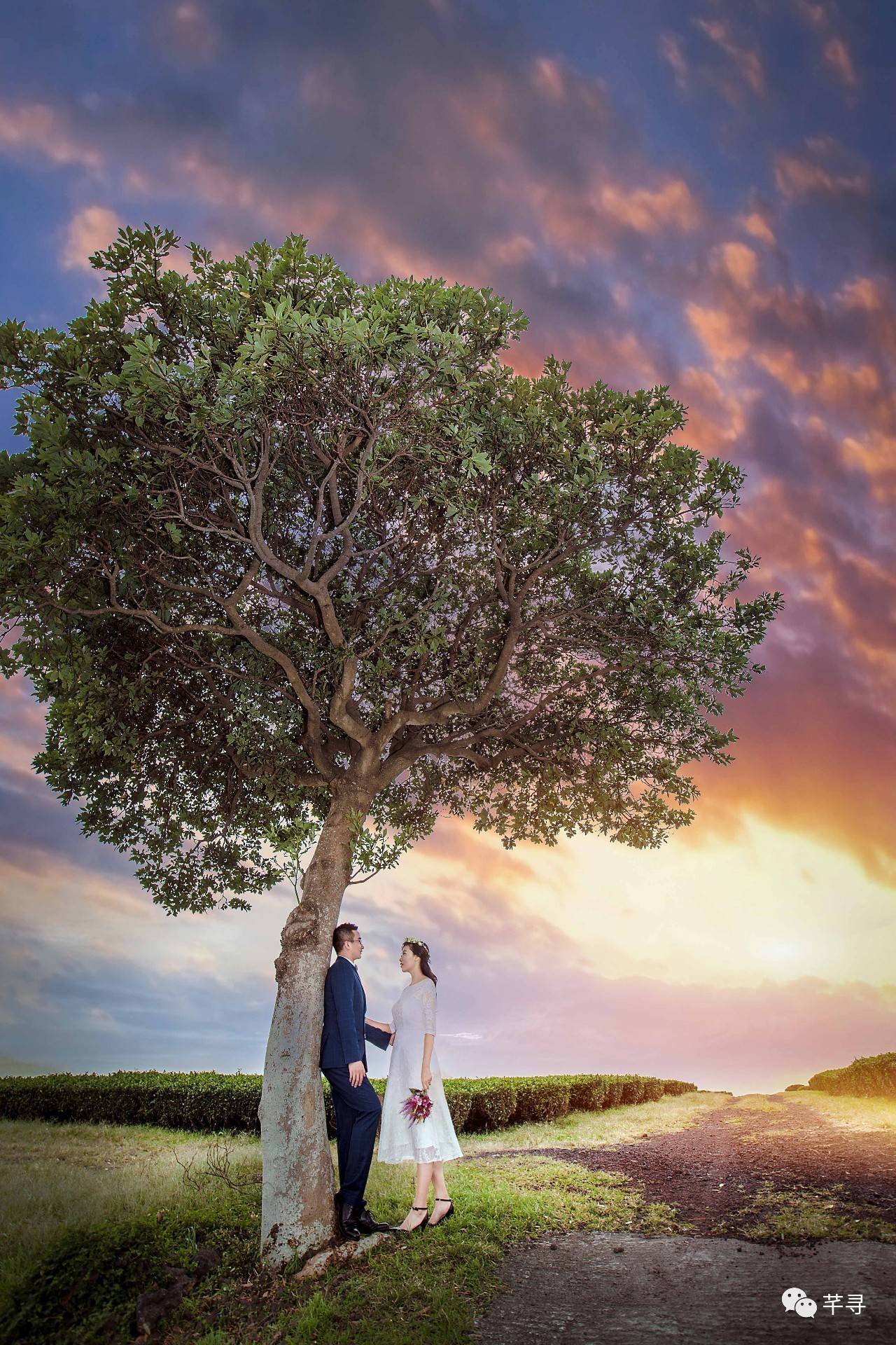 不止免签和免税店，还有各家爱豆，都在喊你去济州岛办婚礼！