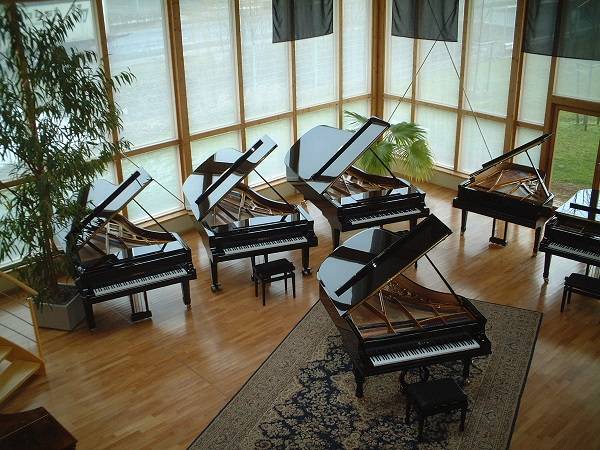 德国博兰斯勒钢琴特点,博兰斯勒钢琴怎样