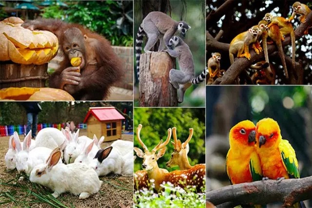 即将开通的5条地铁线,4条地铁新线同步开通