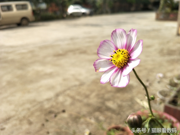 oppor9splus7.1,oppor9splus还值得买吗