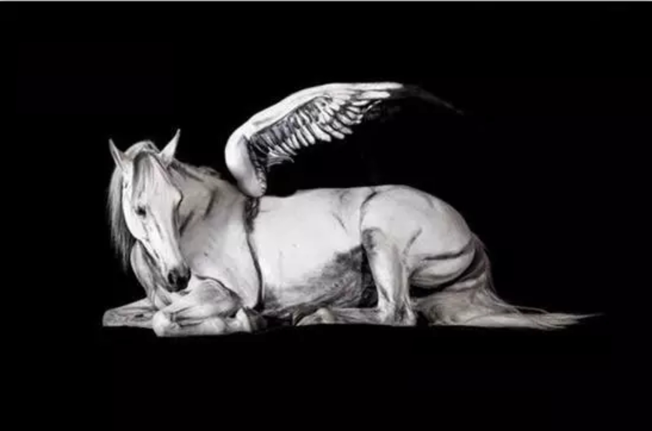 这些赤裸裸的人究竟是为何这样呢?这肤色,这花纹