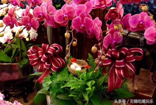 批发年货哪个网站批发划算,十大必备年货批发