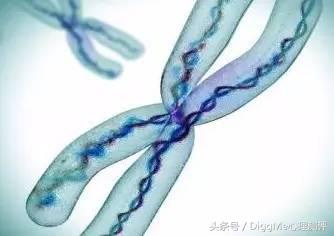 你的性别取向是什么,你的性别是什么选择题