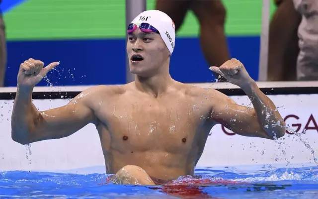 2017体坛10大名人,2016体坛十大人物