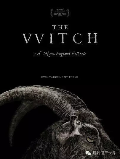 动物命真的不如人命吗,动物为什么都长得差不多