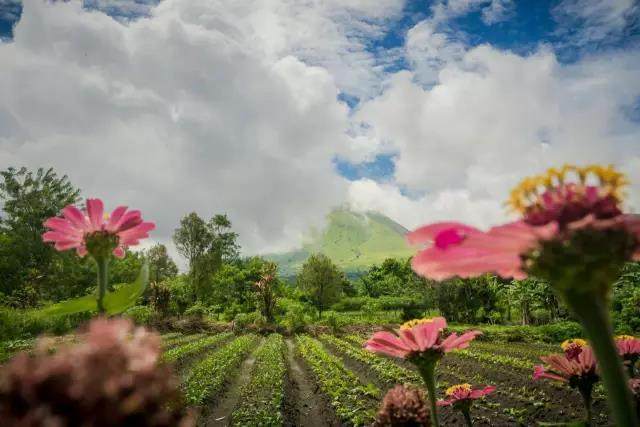大家以前是不是都拍过这样的照片,每个人都见过的照片