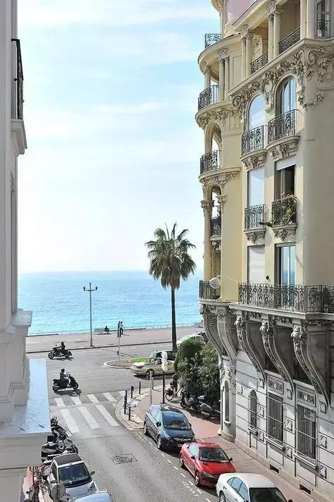 大象与大象拔河,与大象拔河比赛