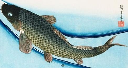 预示着发财的梦境有哪些？