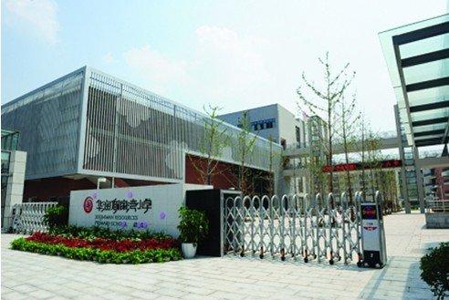 重庆茶园小学排行榜,重庆主城小学排名划片