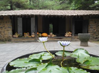 璇磋蛋灏辫蛋甯︿笂瀛欏コ鏃呰,璇磋蛋灏辫蛋甯﹀濡堝幓鏃呰