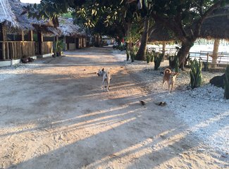 150831粉色沙滩黎牙实比马荣火山ATV香港