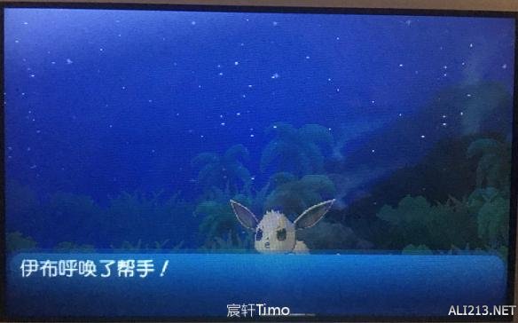 口袋妖怪日月需要什么配置,口袋妖怪日月阵容搭配