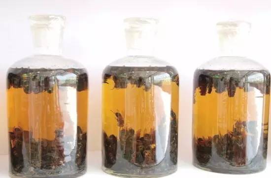 喝自泡药酒，防病治病效果就更好？非也非也，这里的道道太深了，有人还差点送命！