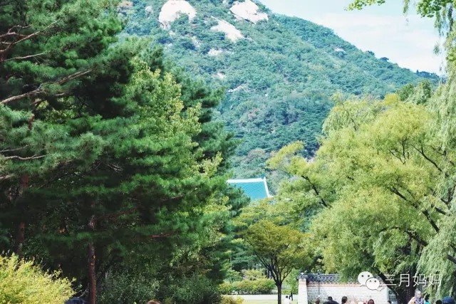 带着七个月的宝宝环游中国一圈,带宝宝自驾环游世界路线