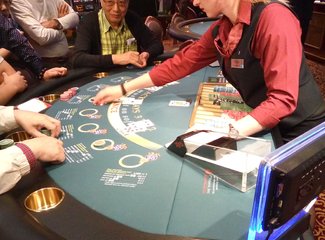 一次说走就走的旅行到底有多难,一次说走就走的环球旅行