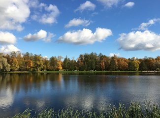 北方的天空之金秋俄国,莫斯科/金环小镇/圣彼得堡纪行+过境阿联酋,迪拜/阿布扎比的流水帐