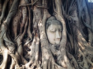 5月去泰国涛岛,几月去泰国旅游苏梅岛