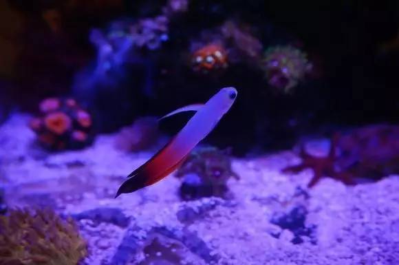 玩的真溜,三千玩出了三万的水平!