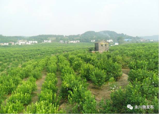 永川县即将开建的小镇,永川四大宜居之城