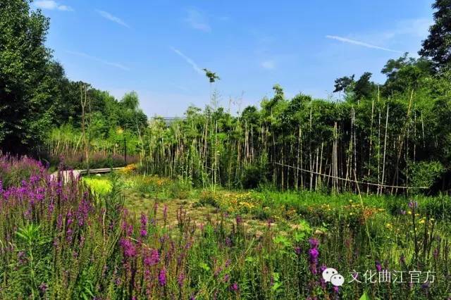 西安一天能涌入5万人吗,一天涌入40万游客