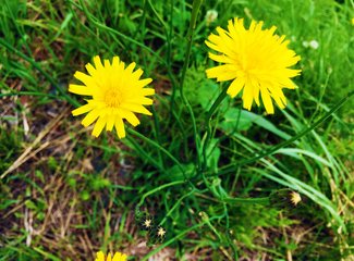 人在美途民族风旅拍,人在美途